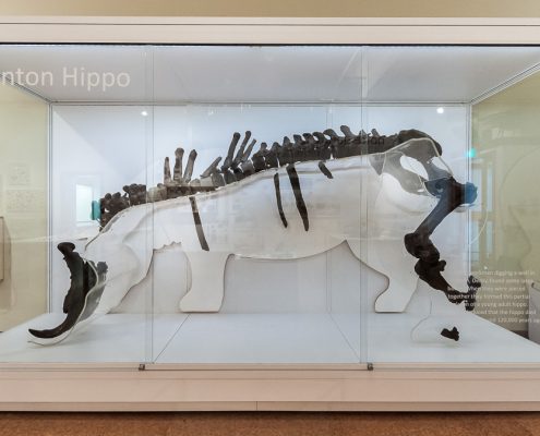 custom display case for derby museum