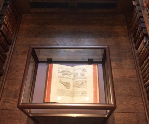 trinity college oxford display case 3