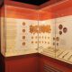 verulamium museum display case