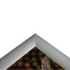 Closed Trappa frame
