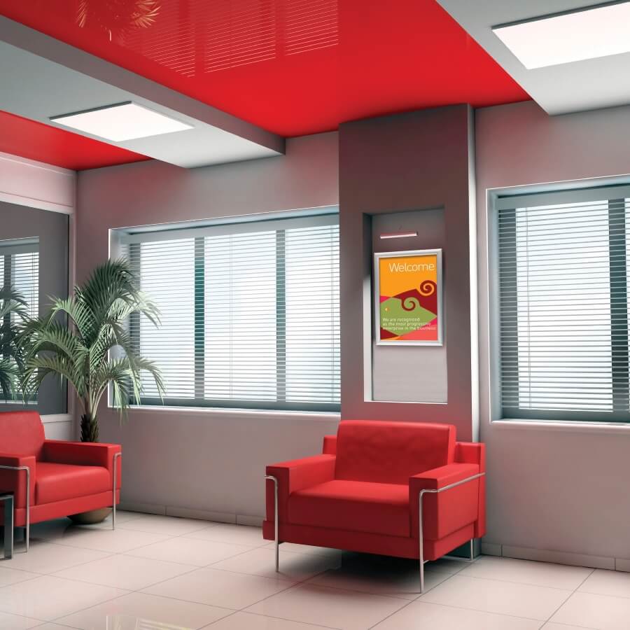 Trappa frame in situ access displays