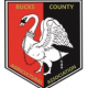Bucks County Show