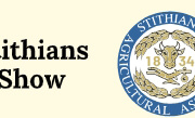 Stithians Show
