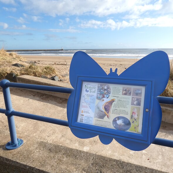 Notice Boards and Poster Boards