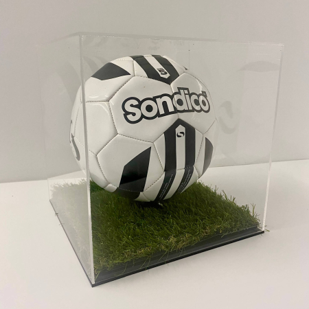 250 x 250 x 250 football acrylic display case with grass