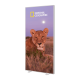 1000mm (w) x 2500mm (h) x 120mm (d) LED Lightbox - Glowpix