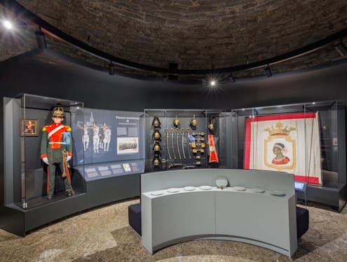 Demountable FRANK Museum Display Cases