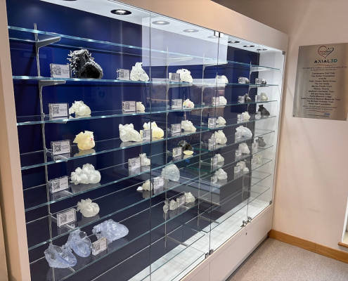 Bespoke wall-mounted glass display cabinet with navy blue backdrop, illuminated glass shelves and white 3D-printed heart models, beside an Axial3D donor plaque at Southampton hospital